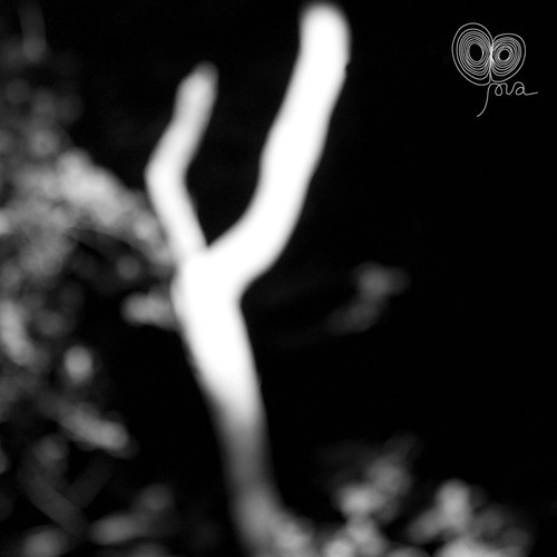 Alme & Pawas – Fog