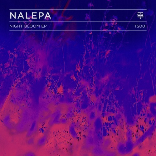 Nalepa – Night Bloom EP