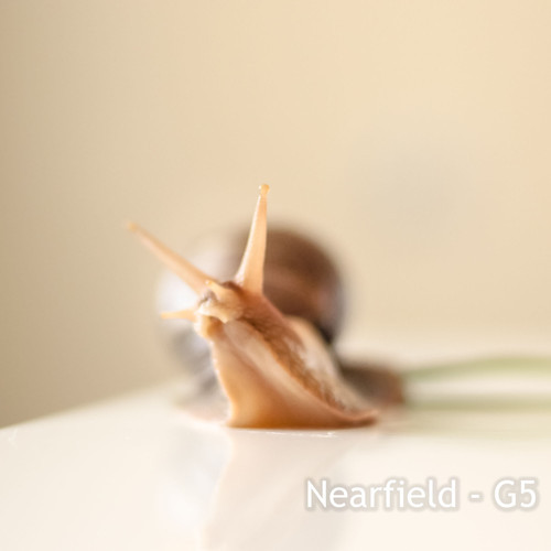 Nearfield – G5