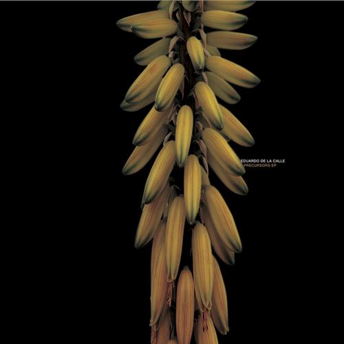 Eduardo De La Calle – Precursors EP