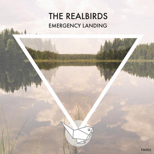 The RealBirds – Emergency Landing