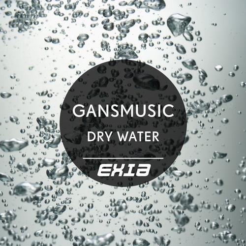 Gansmusic – Dry Water