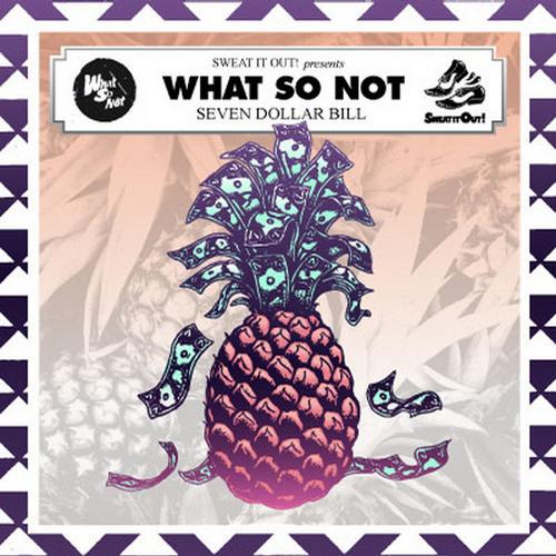 What So Not – 7 Dollar Bill