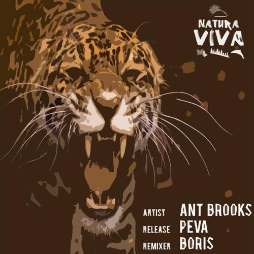 Ant Brooks – Peva