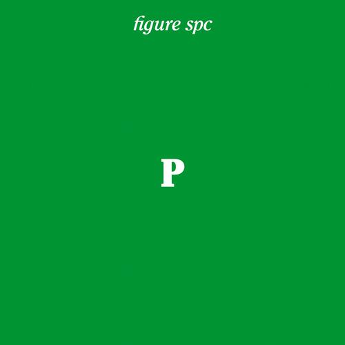 Jeroen Search – SPC P