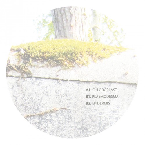 Acronym – Dimensional Exploration 002