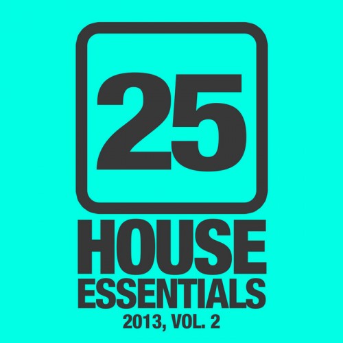 25 House Essentials 2013 Vol 2