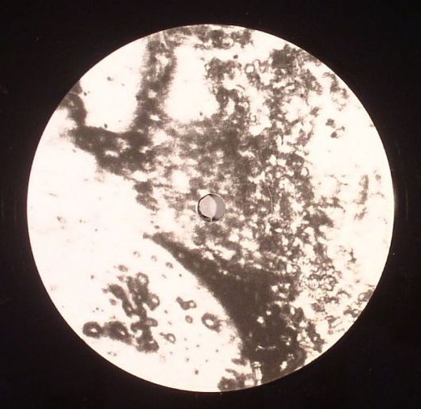 Abdulla Rashim – Alem Maya