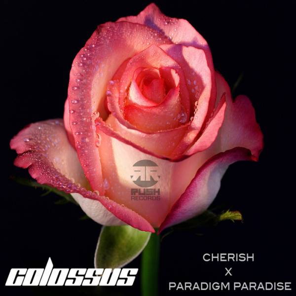 Colossus – Cherish / Paradigm Paradise