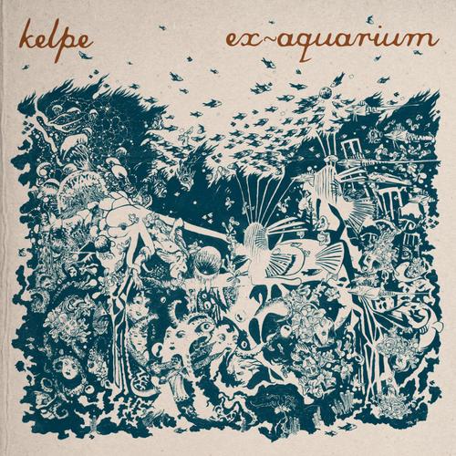 Kelpe – Ex-Aquarium