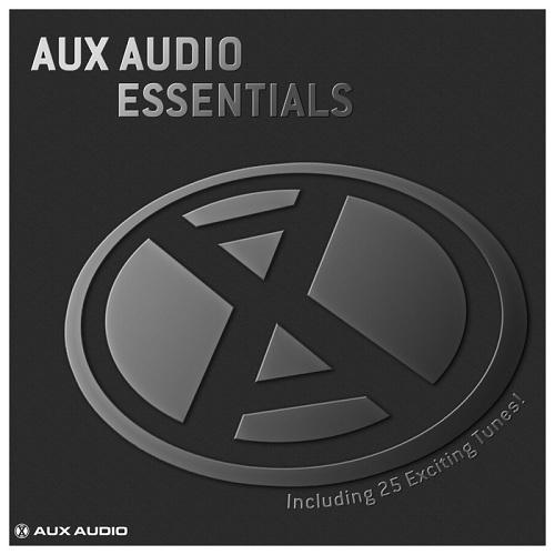1375348132_various-artists-aux-audio-essentials-including-25-exciting-tunes