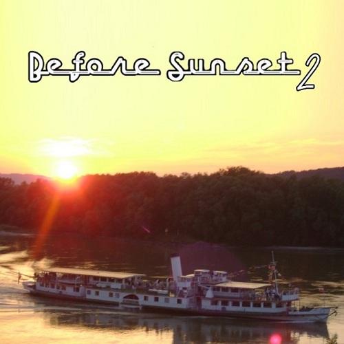 1375803219_various-artists-before-sunset-vol.-2