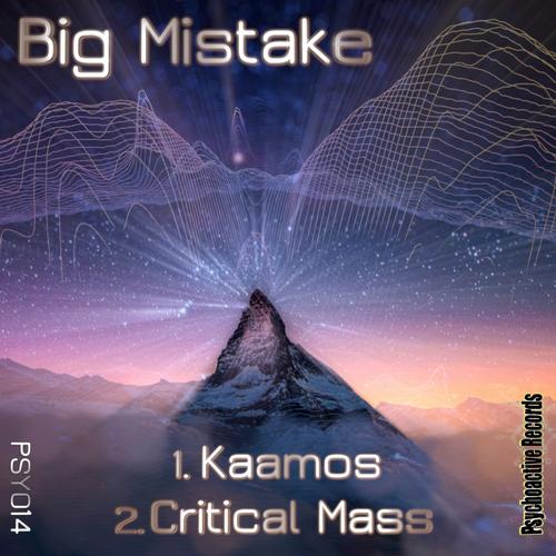 Big Mistake – Kaamos / Critical Mass