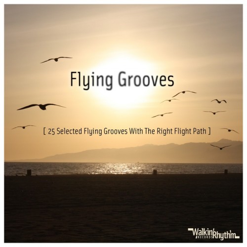 Flying Grooves: 25 Selected Flying Grooves With The Right Flight Path