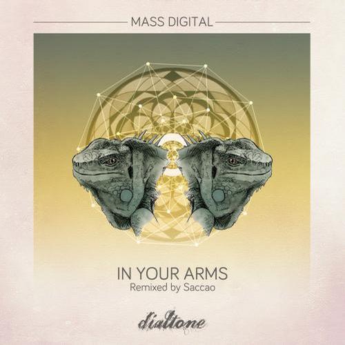 Mass Digital – In Your Arms