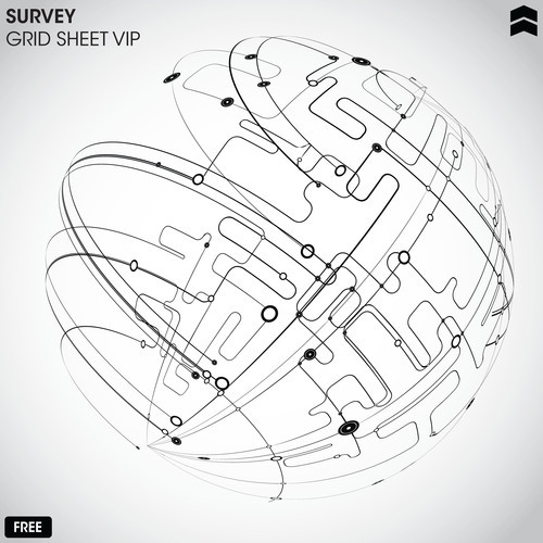 Survey – Grid Sheet VIP