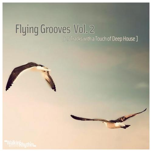 Flying Grooves Vol 2 – 25 Tracks With A Touch Of Deep House