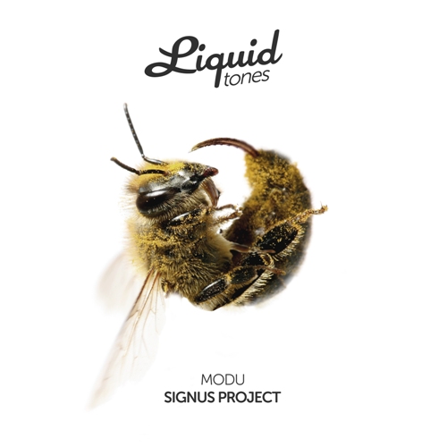 Modu – Signus Project