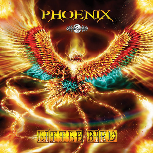 Phoenix – Little Bird