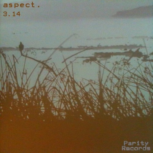 Aspect – 314