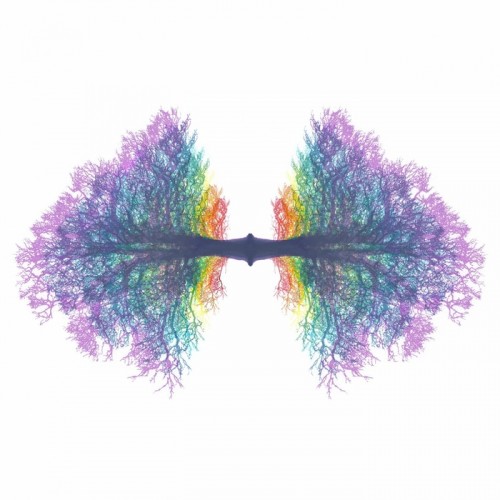 Azedia – Life Goes On