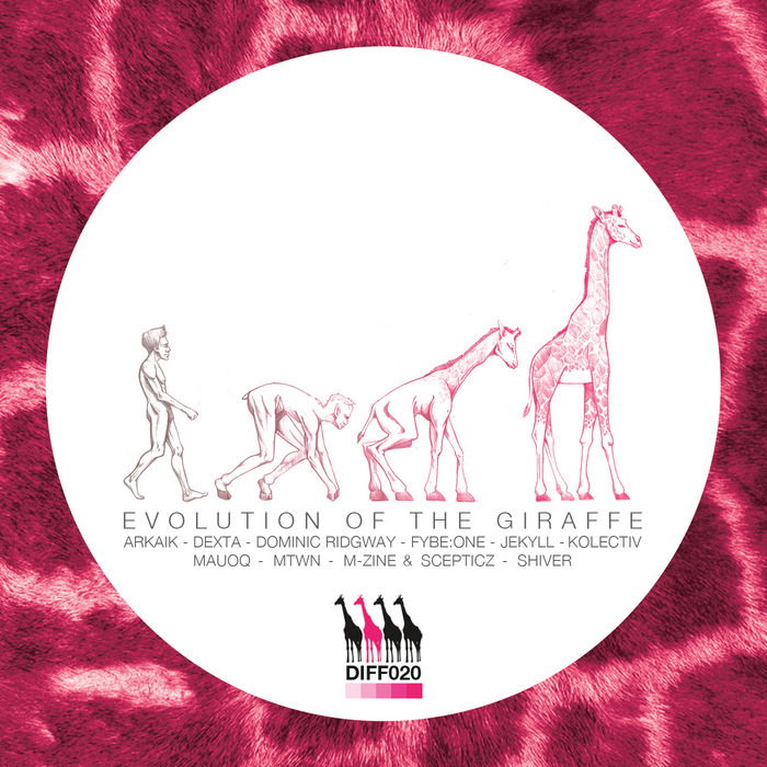 Diffrent: Evolution Of The Giraffe