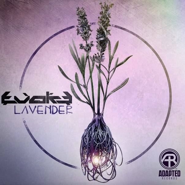 Evoke – Lavender