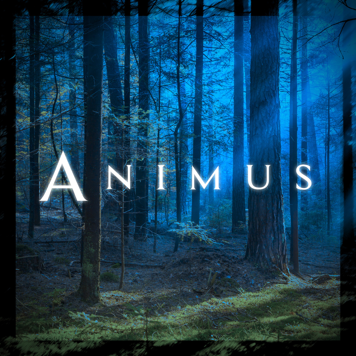 Killigrew – Animus