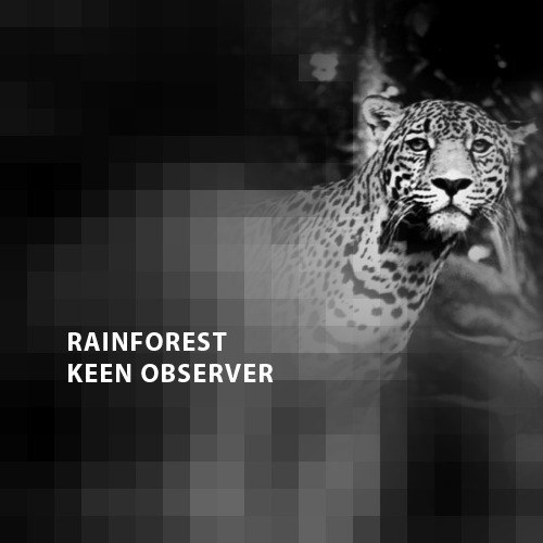 Rainforest – Dreams Repeating / Keen Observers