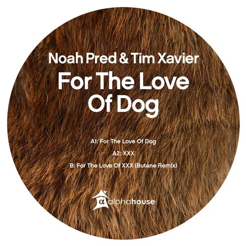 Tim Xavier & Noah Pred – For The Love