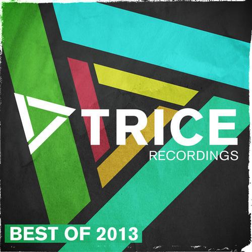 Trice Recordings: Best Of 2013