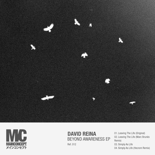 David Reina – Beyond Awareness EP