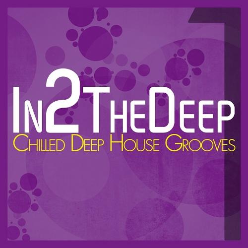 1389807607_various-artists-in2-the-deep-chilled-deep-house-grooves-1