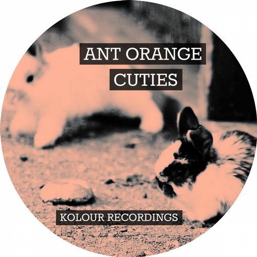 Ant Orange – Cuties