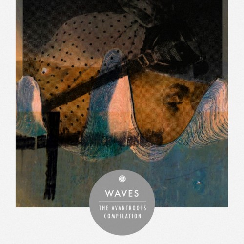 Pulshar – Waves – The Avantroots Compilation