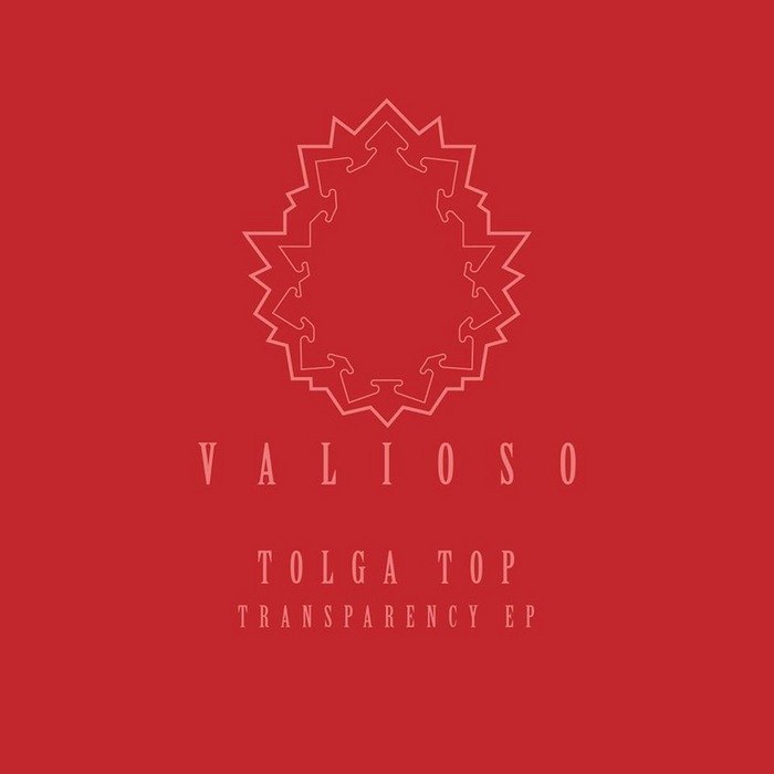 Tolga Top – Transparency EP