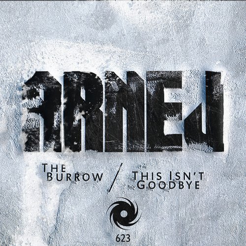 Arnej – The Burrow / This Isnt Goodbye