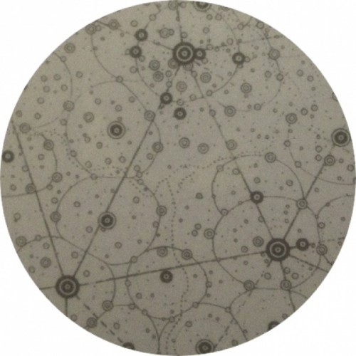 Blacknecks – Blacknecks 004