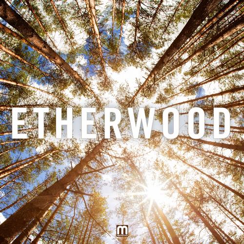 Etherwood – Etherwood