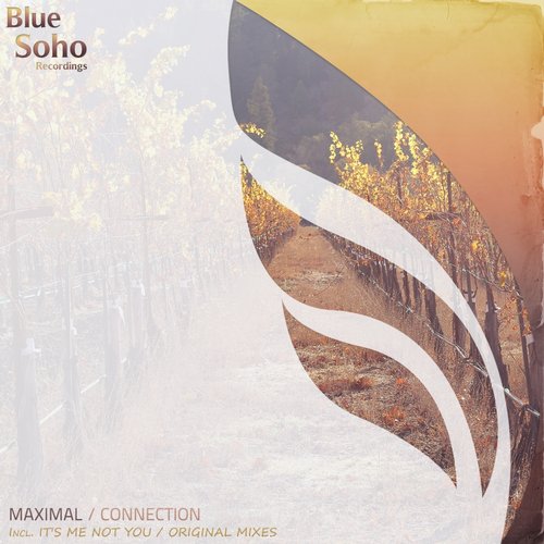 Maximal – Connection