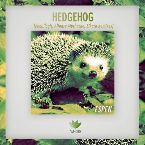 Espen – Hedgehog