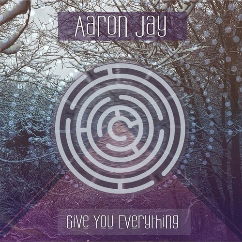 Aaron Jay – Give You Everything
