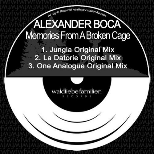 Alexander Boca – Memories from a broken cage