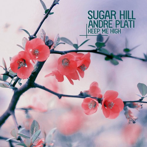 Andre Plati & Sugar Hill – Keep Me High