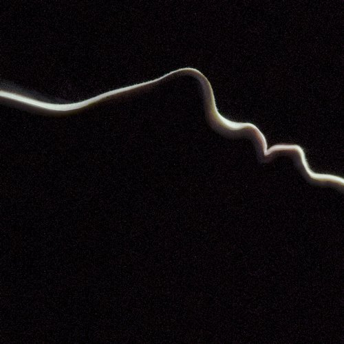 Hundred Waters – Cavity