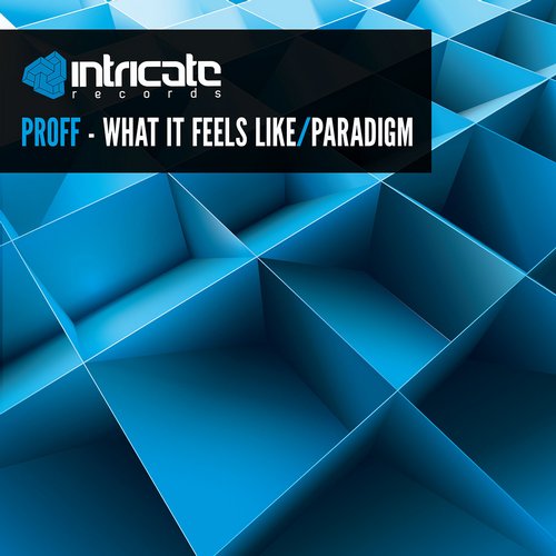PROFF – What It Feels Like / Paradigm
