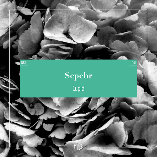Sepehr – Cupid