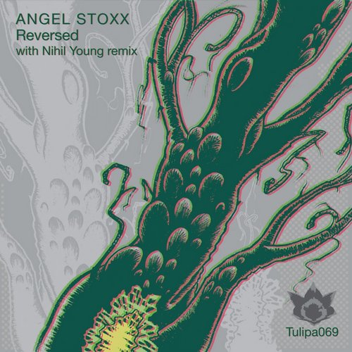 Angel Stoxx – Reversed