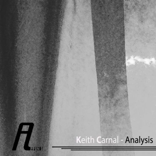 Keith Carnal – Analysis