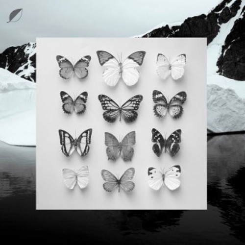 Christian Löffler – Young Alaska